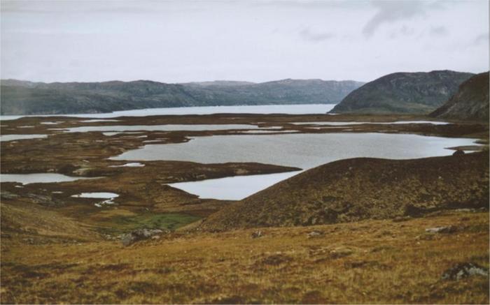 View north