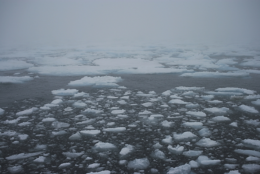 Pack ice edge 50 km WSW of confluence