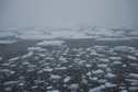 #8: Pack ice edge 50 km WSW of confluence