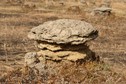 #8: Termite mound