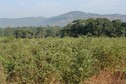#2: North