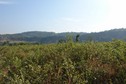 #3: East
