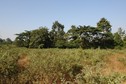 #5: West