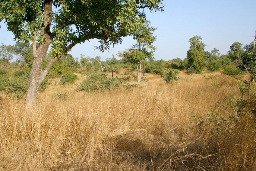 The landscape close to the point