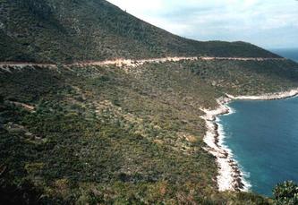 #1: The confluence, in the olive orchard in the middle of the picture, as seen from the south