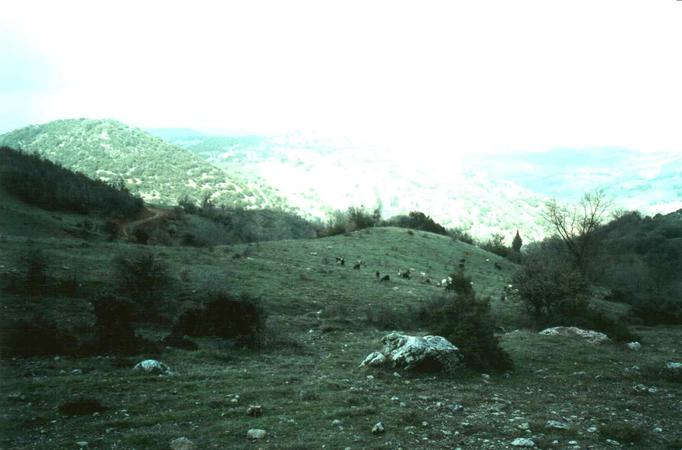 Facing North from the confluence