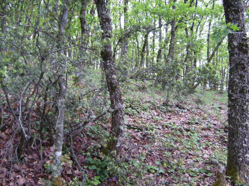 Blick nach Westen - View west