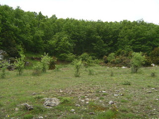 #1: 70 m zum Punkt - 70 m to N38E22
