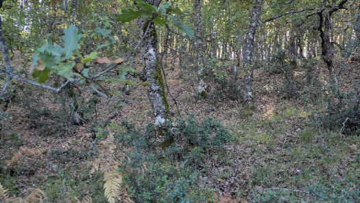 #1: location of CP 38N-22E 21 m from NE