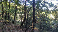 #2: view to the north