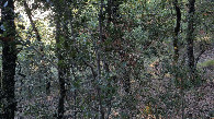 #3: view to the east