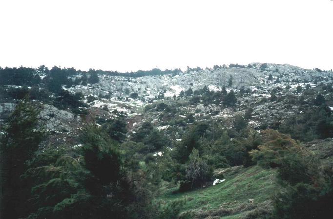 about 500 metres north of the confluence facing south