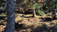 #4: view to the south