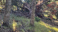 #5: view to the west