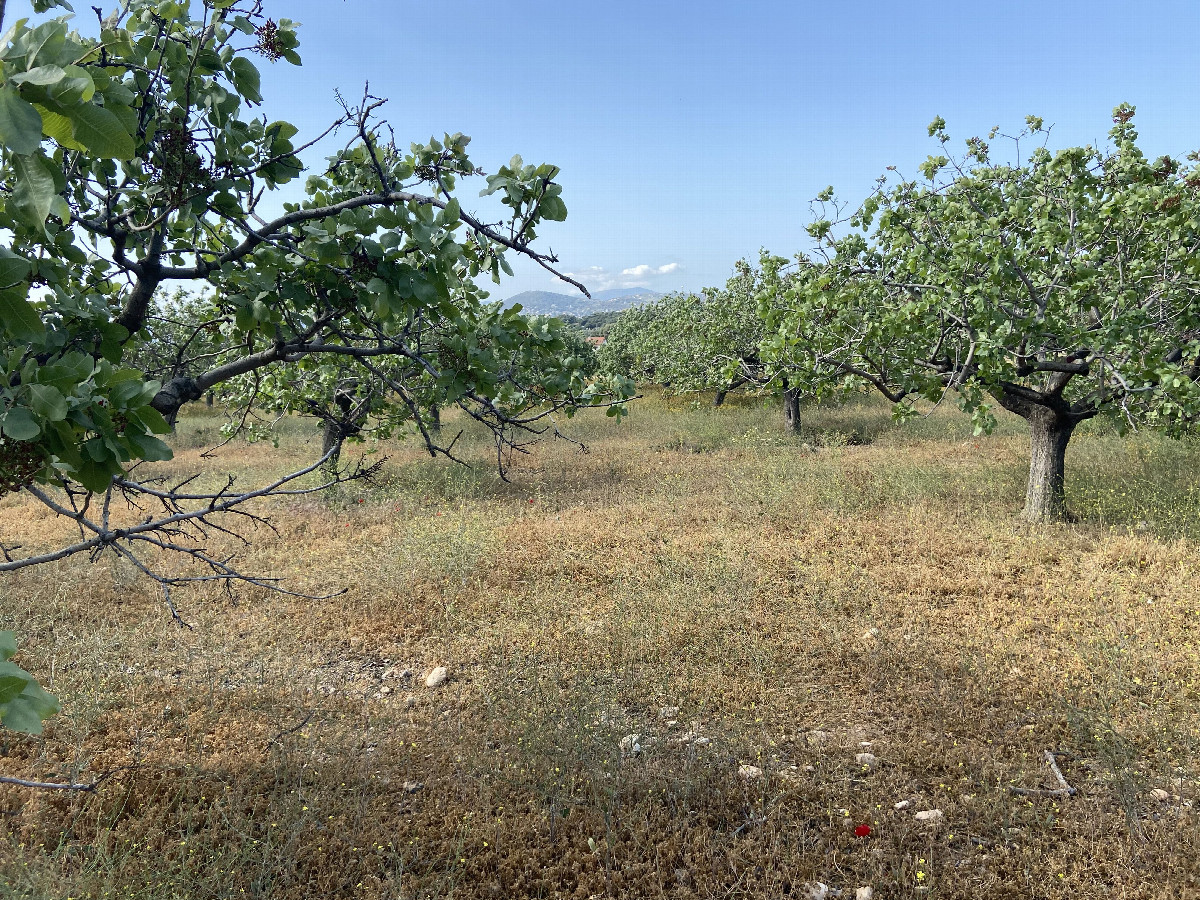 View to the south from the confluence point.