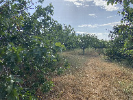 #3: View to the east from the confluence point.