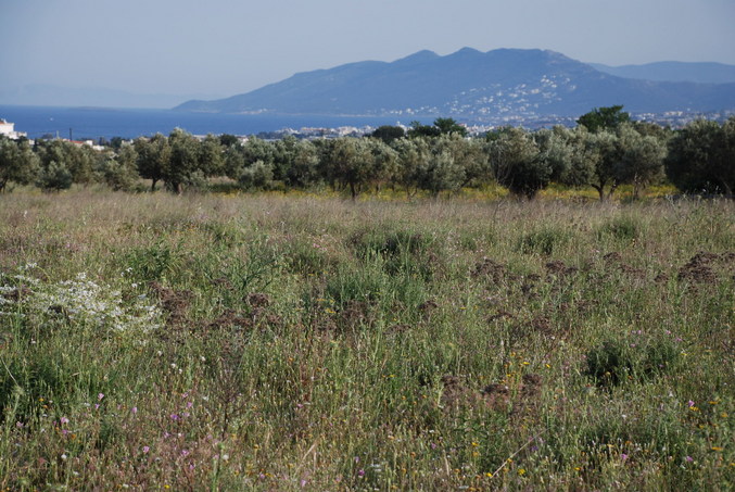 Distant and general view of the confluence area