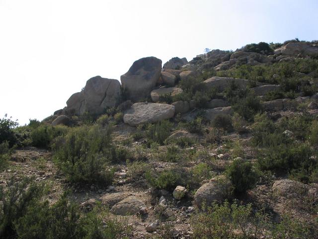 View west