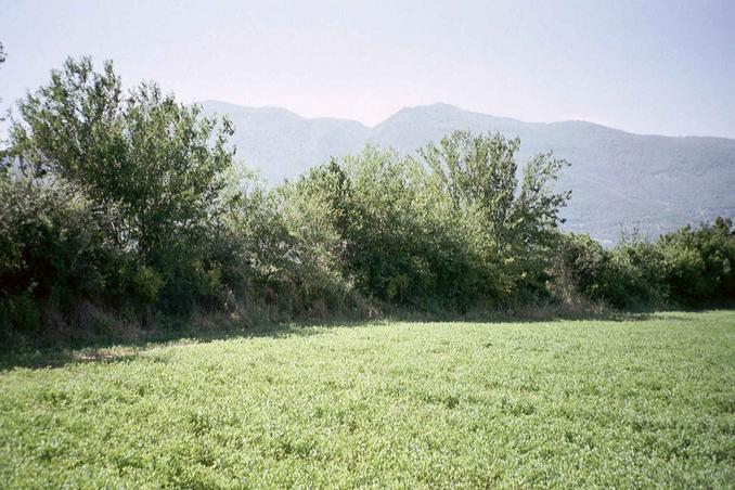 north view from confluence