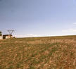 #3: Southeast-view