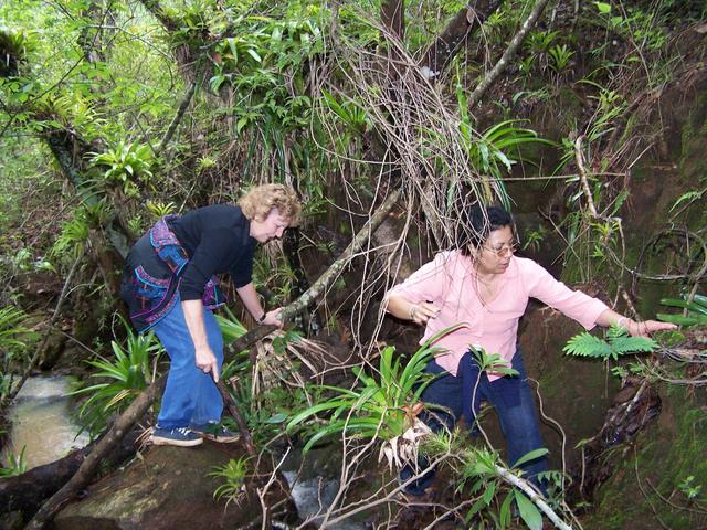 River Crossing