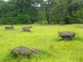#8: Mushroom-shaped termite hills