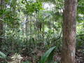 #2: View to the South