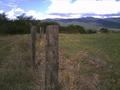 #2: East view (Notice the finished barbwire fence)