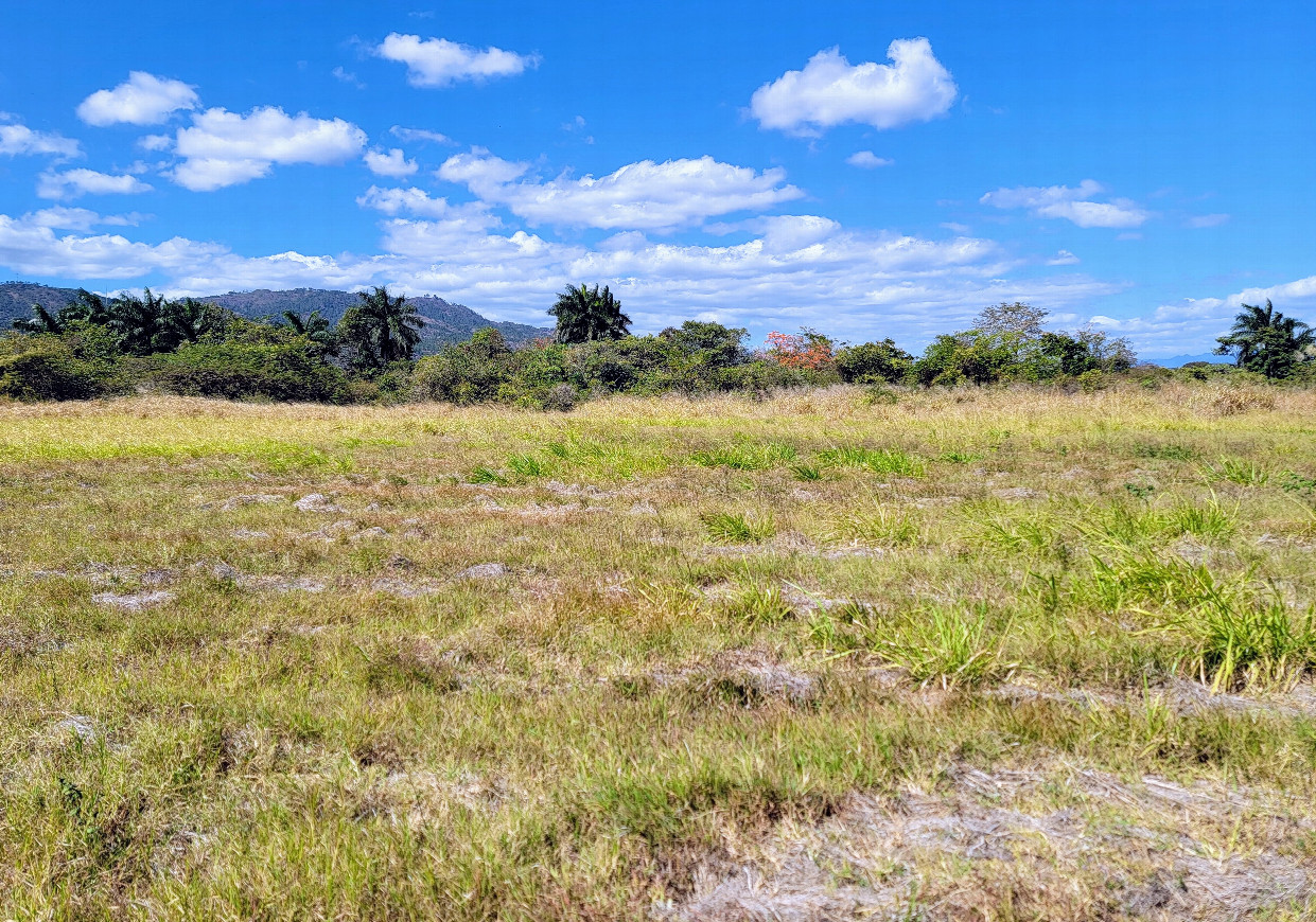 View north and general view of the area. An open field with some low mountains in the distance.