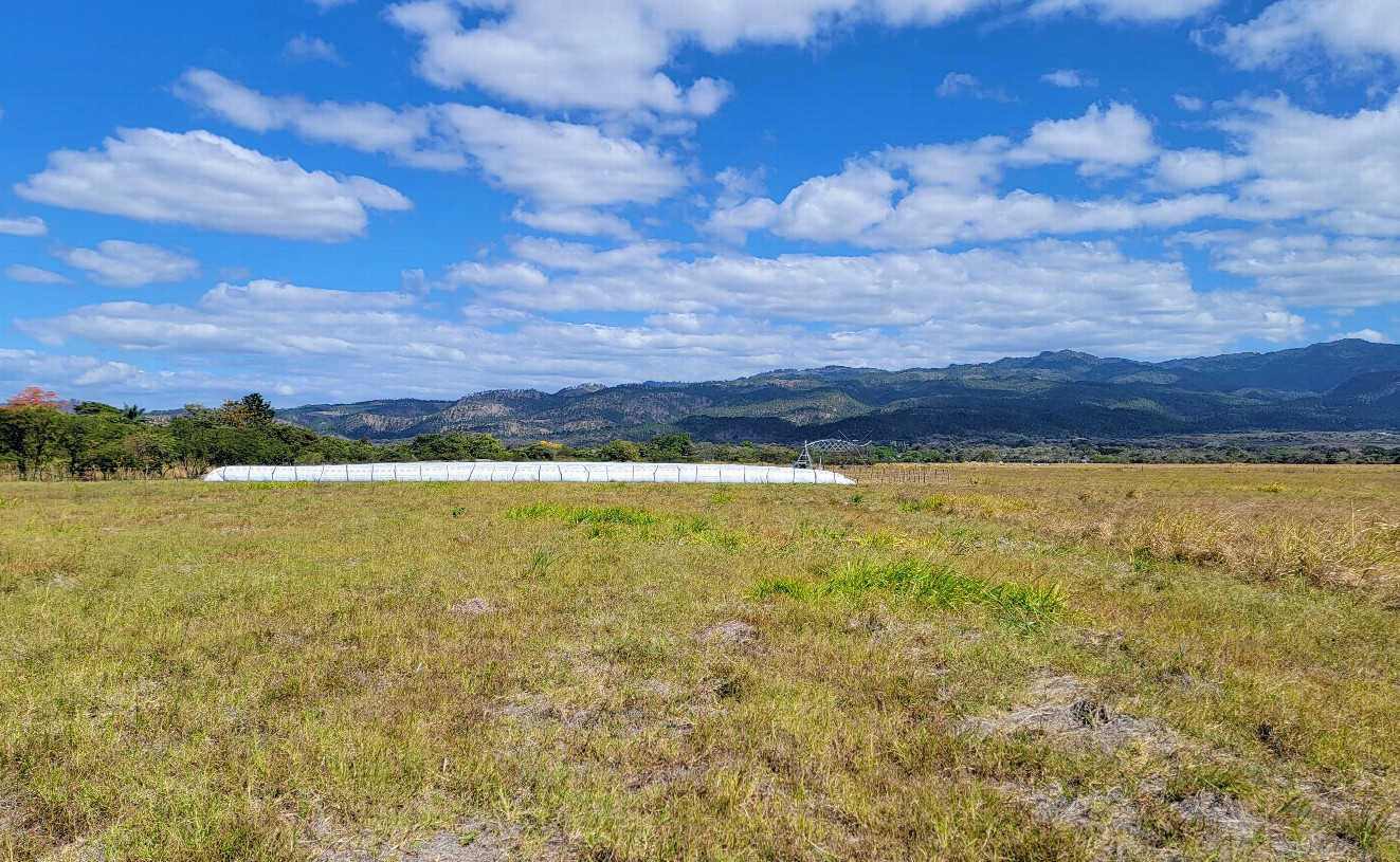 View east, and what I believe to be covered hay bales or some other crop.