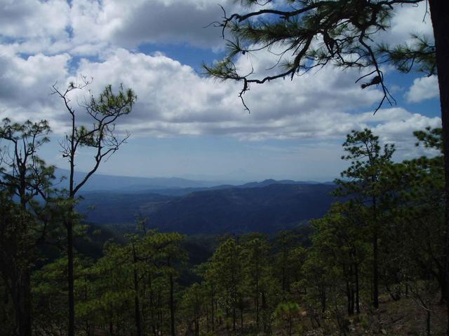 View from a hill 300 m north of the confluence to west