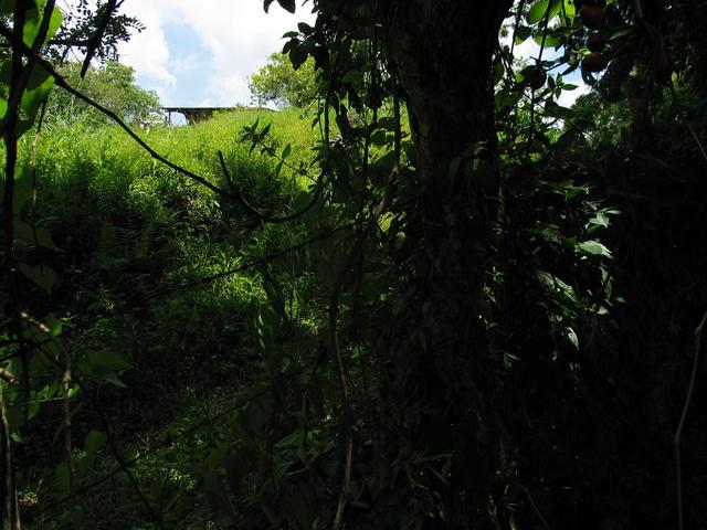 View east. Barbed-wire fence and house visible.