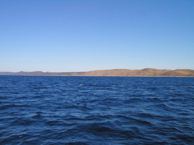 View to North