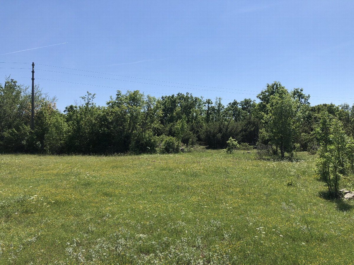 The Confluence from 10 m Distance