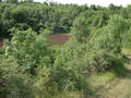 #4: The doline, seen from above (from West). The confluence is approximately a bit below the middle of the image.