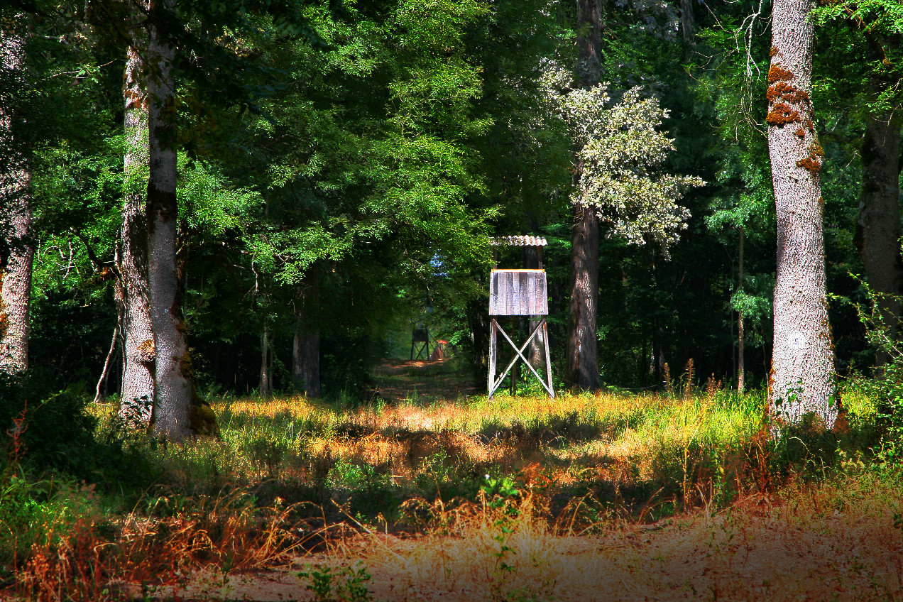 hunter's seat or border post?