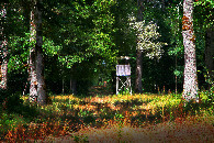 #6: hunter's seat or border post?