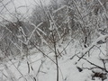 #4: View to the South