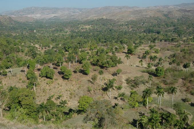 General area - CP in the valley about 1 km away