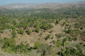 #1: General area - CP in the valley about 1 km away