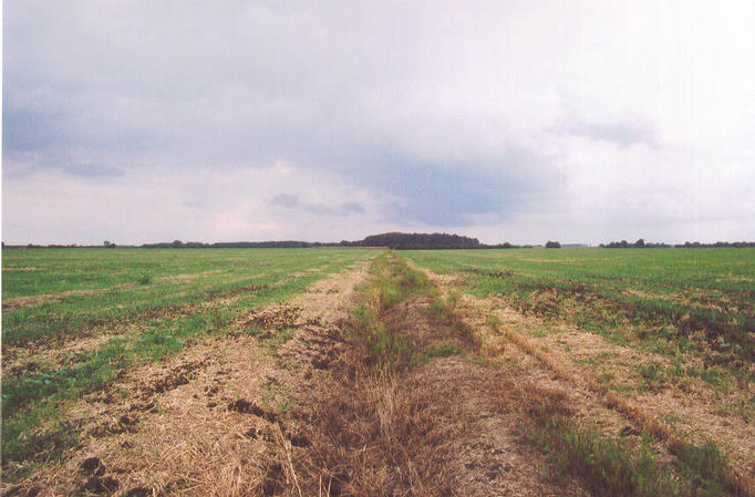 View from the spot