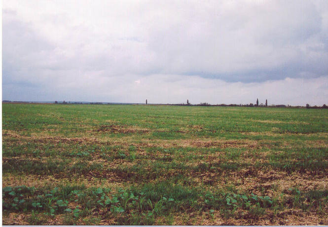 The plain