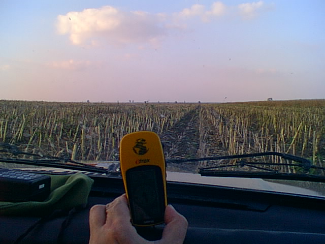 On the way to confluence