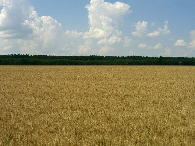 View north / Blick nach Norden