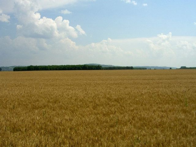 View west / Blick nach Westen