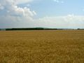 #3: View west / Blick nach Westen