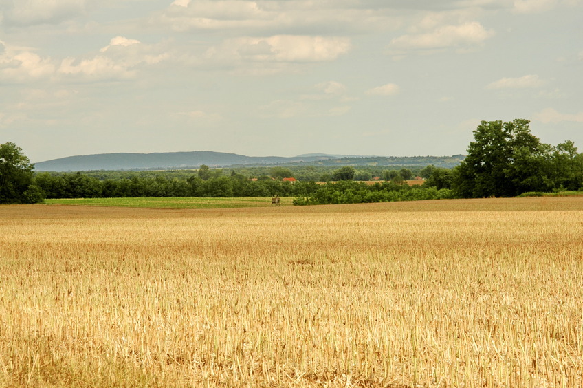 Visible hills