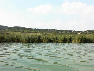 #1: From the water of Balaton