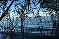 Visit #12: [14-Aug-16]