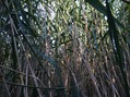 #5: View to the East